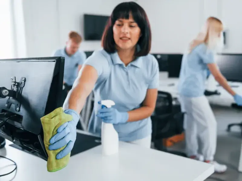 Professional Bin Removal Services process